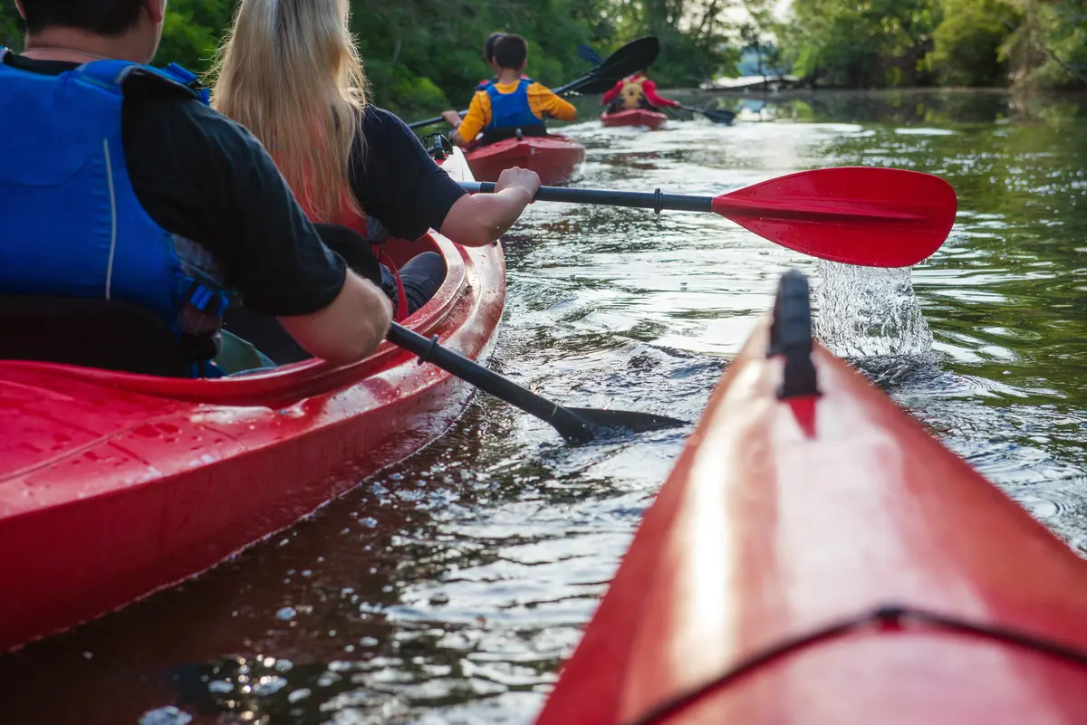 Group of Naples friends kayaking in the Everglades.