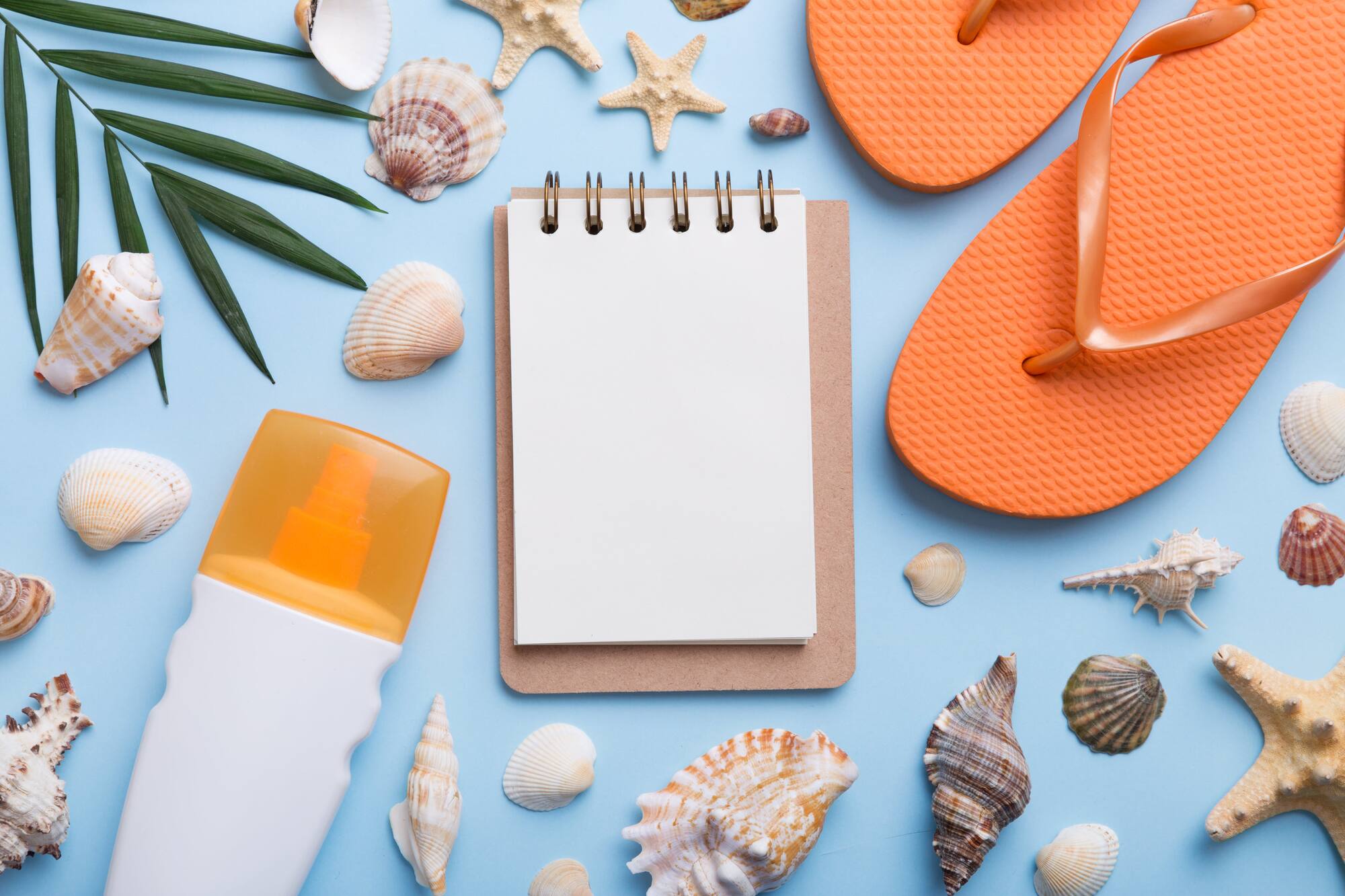 A to do list for things to do in Naples, Florida
